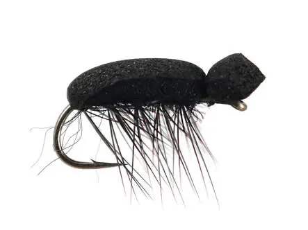 Tonis Foam Beetle 14
