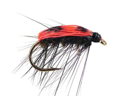 Lady Bug 12