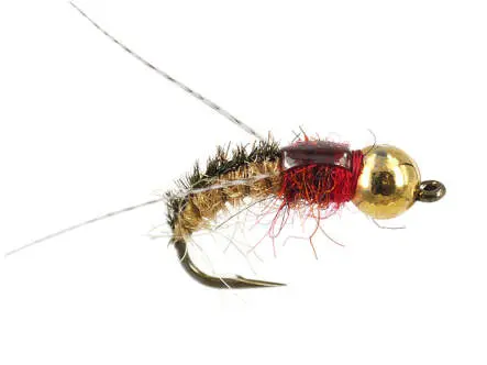 TG Brown Sedge Nymph 8
