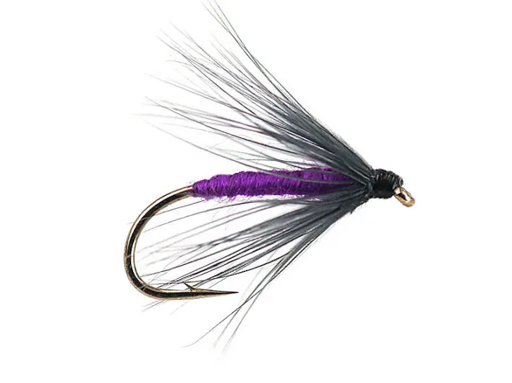 Snipe And Purple 14