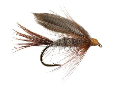 March Brown 14