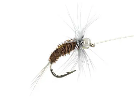 Rienz Premium BI Cinamon 14