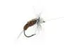 Rienz Premium BI Cinamon 14