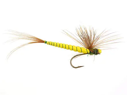 Yellow May Fly 10