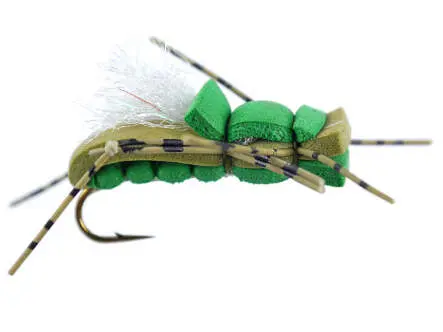 Rat Alber Olive 12
