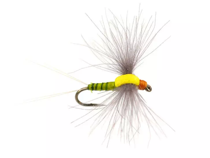 Bwo Dun 02