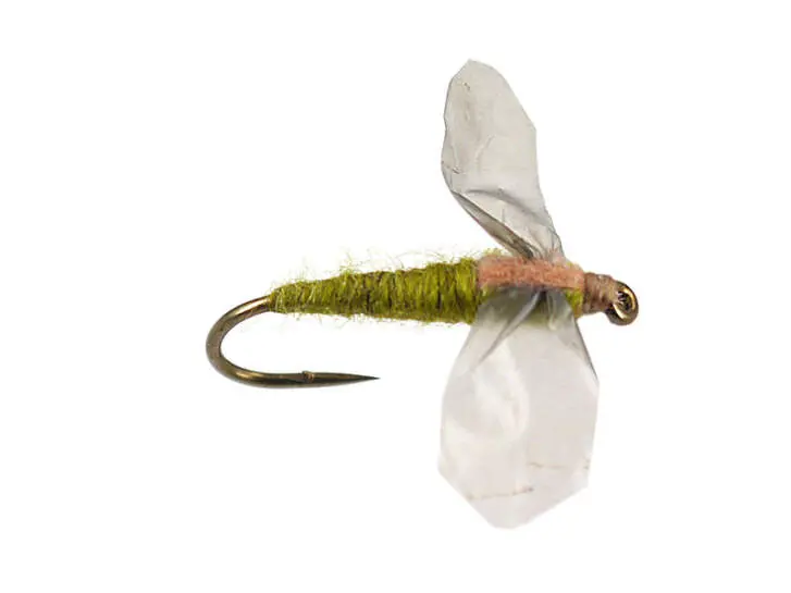 Olive Cripple - Medium Olive