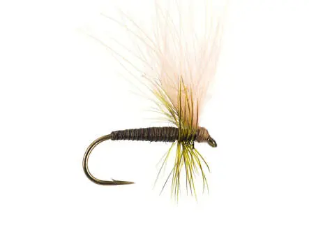 Olive Quill CDC - Medium Olive