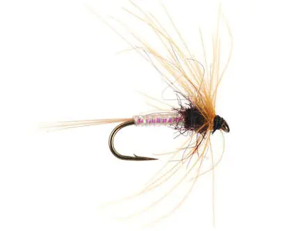 Olive Spinner - Dark Brown