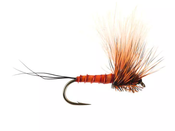 H-Dun Cut - Brown-Reddish