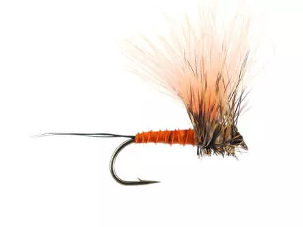 H-Dun Cut - Brown-Yellowish