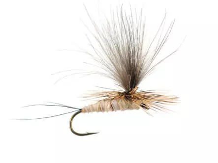 H-Dun Parachute - Tan-Yellowish