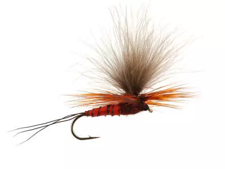 H-Dun Parachute - Brown-Reddish