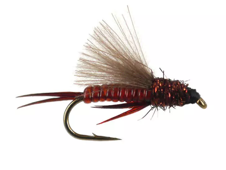 L-Surface Nymph