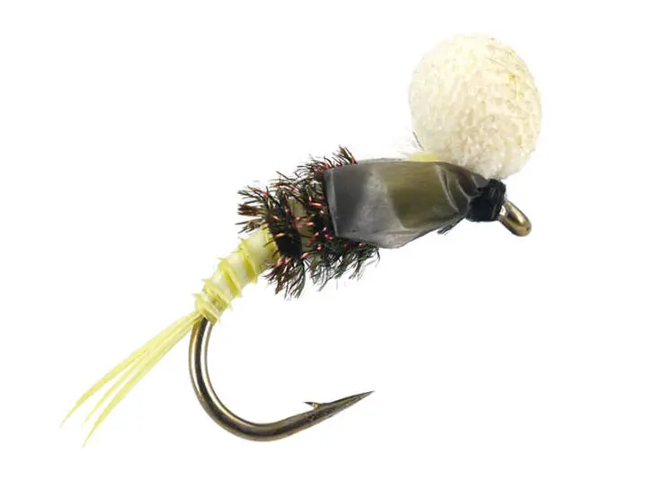 E-Hatching Nymph