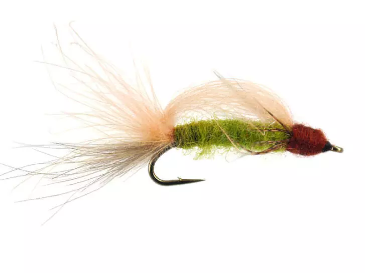 S6 Transition Caddis - Green