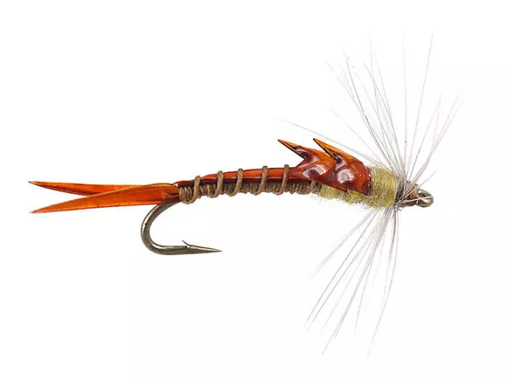 Needle Nymph