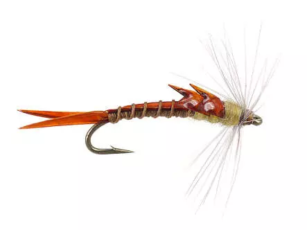 Needle Nymph