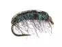 Gammarus 03 - Dark Olive