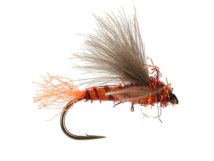 G6 Grayling Sedge - Orange Tail