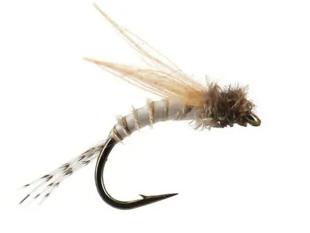 Bwo Emerger 01 18