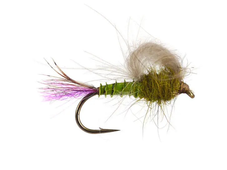 Olive Straight Loopwing Emerger - Medium Olive 16
