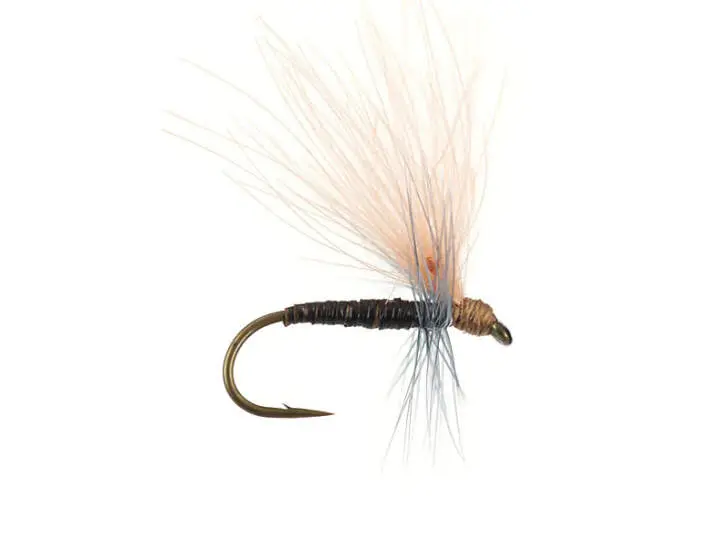 Olive Quill CDC - Tan 14