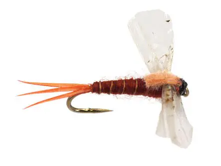 L-Cripple 16
