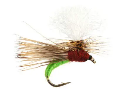 S10 Transition Fast Water - Green 12