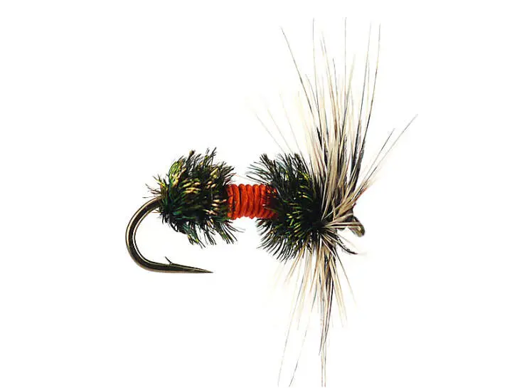 G4 Grayling Fancy 16