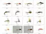 Set Baetidae (Olive - Medium Olive) - M - 16 Fliegen