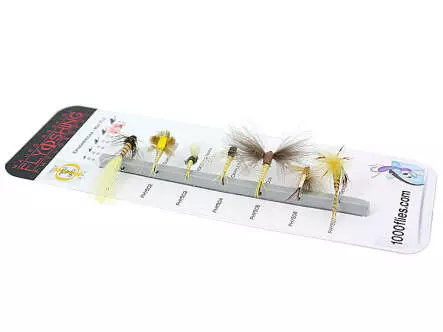 Set Ephemeridae (May Fly) - XL - 7 Fliegen