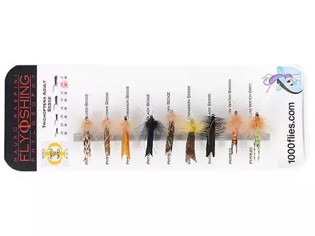 Set Trichoptera (Adult Sedge) - L - 9 Fliegen