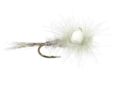 CDC Para Emerger