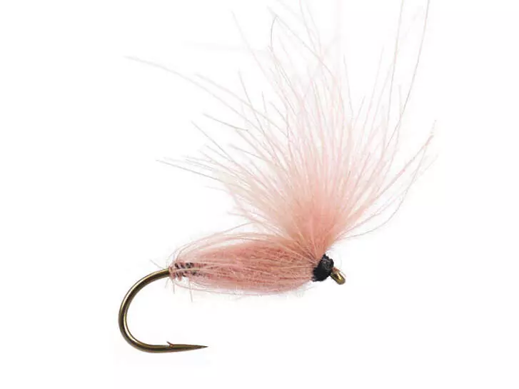 CDC Arpo - Salmon