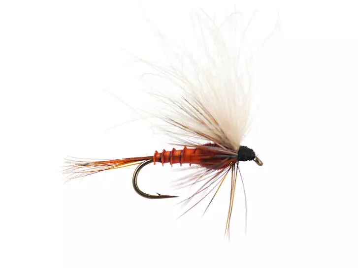 CDC Drift Dun (Olive Upright) - Brown Reddish