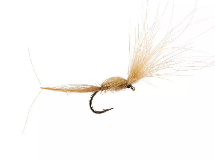CDC Dry Wonder - Dark Tan