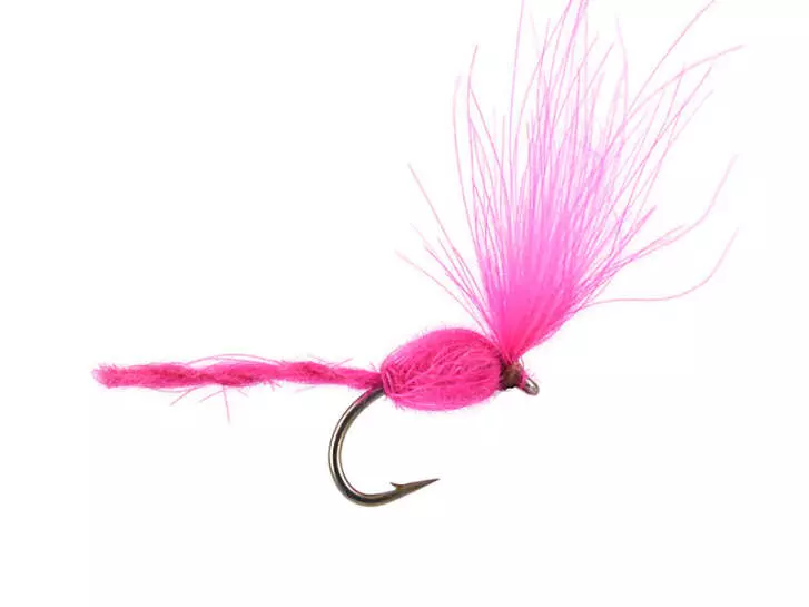 CDC Nyakinama - Fucsia