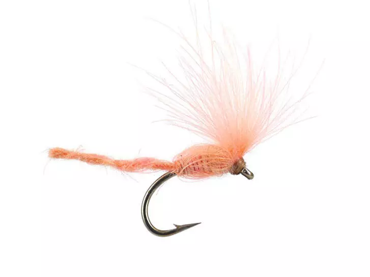 CDC Nyakinama - Salmon