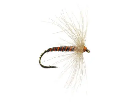 CDC Croupion De Canard