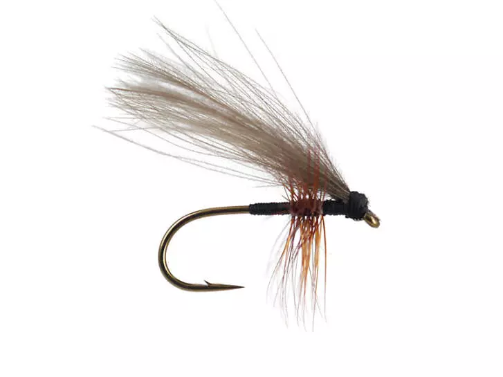 CDC Fratnik F-Sedge