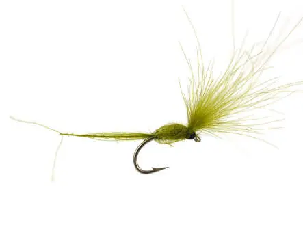 CDC Dry Wonder - Dark Olive 18