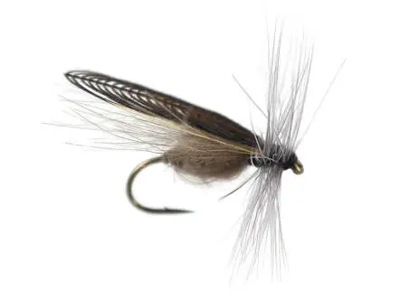 CDC Stone Fly 16