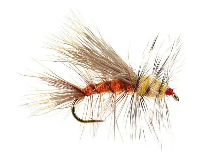 Stimulator Orange Yellow 10