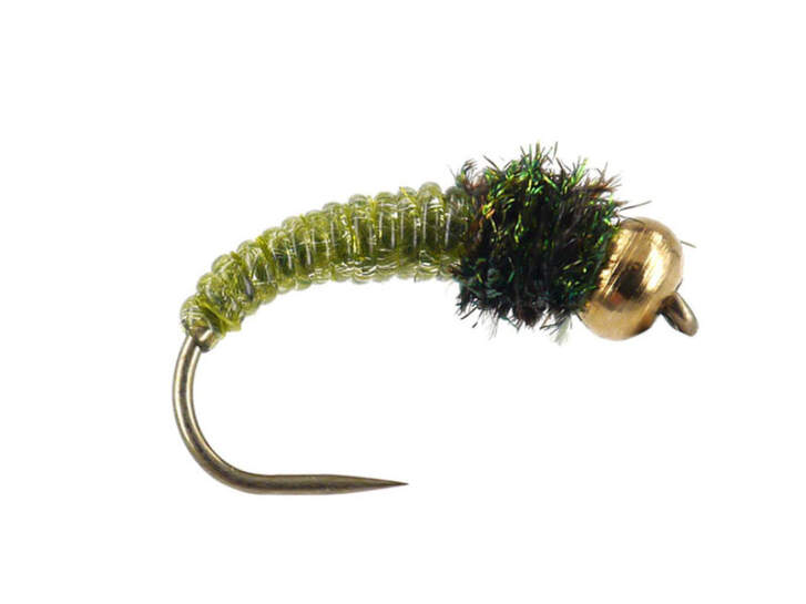 Caddis Larva Olive BL