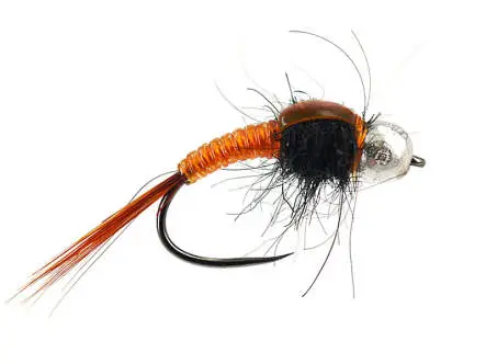 TG Body Glass Orange BL 12