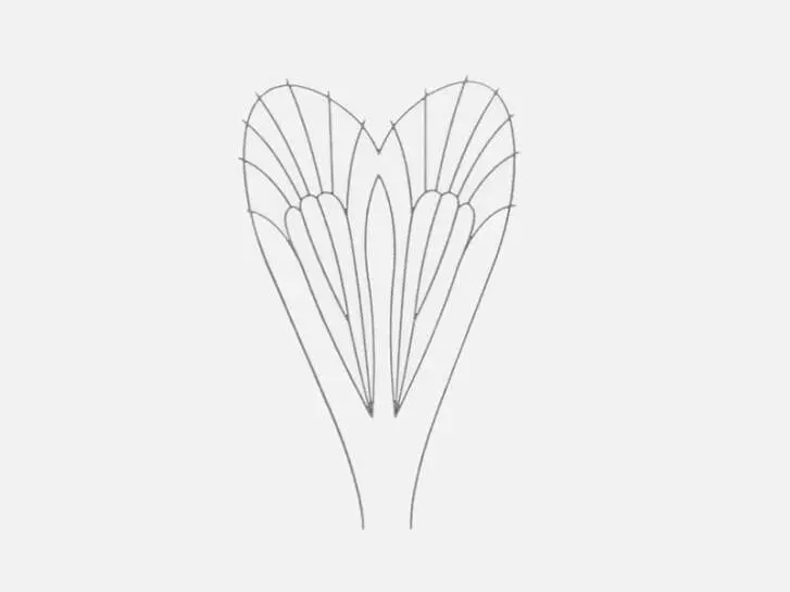 Folie für realistische Flügel von Caddis - Größe C1