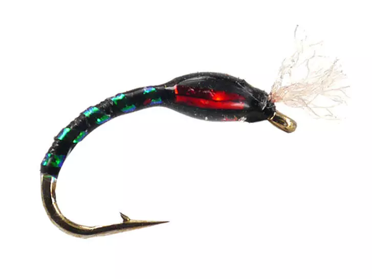 Ginos Black Green Holo Buzzer