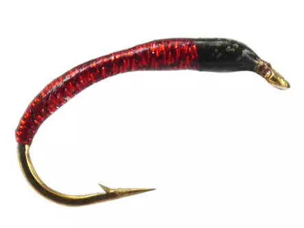Renken Hegene SPECIAL UNIVERSAL
