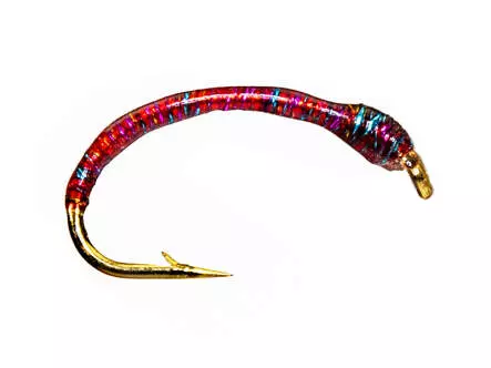 Renken Hegene IRIDIDESCENT